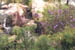 img0019