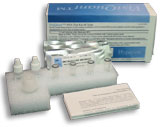 Click here for image detail of our ANA Test Kit