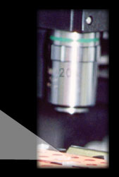 VisiQuant Microscope