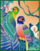 parrots