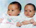 twins72
